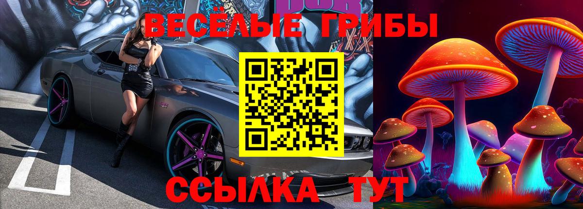 Псилоцибиновые грибы прущие грибы  Вход с VPN  Гусиноозёрск 